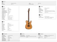 Fender Acoustasonic Standard Tele AGN Fender Acoustasonic Standard Tele AGN